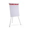 Universal 27 in. x 34 in. Renewable Resource Sugarcane Based Easel Pads - Ruled, White (50 Sheets/Pad, 2 Pads/Carton)